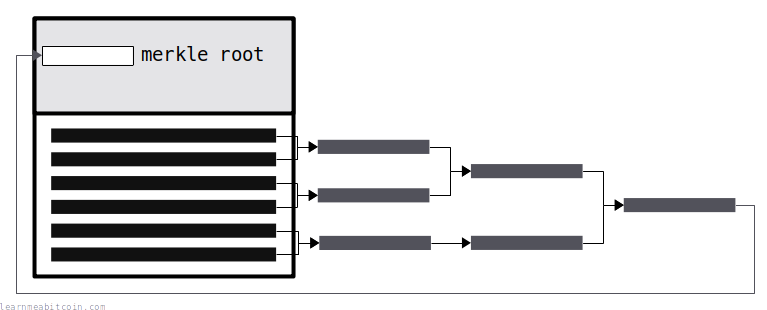 Diagram showing how TXIDs are used to create a merkle root.