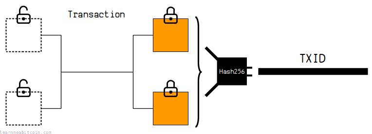 Diagram showing how a TXID is the hash of a transaction.
